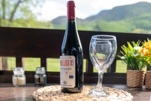 LE PETIT AIGLE HD_34